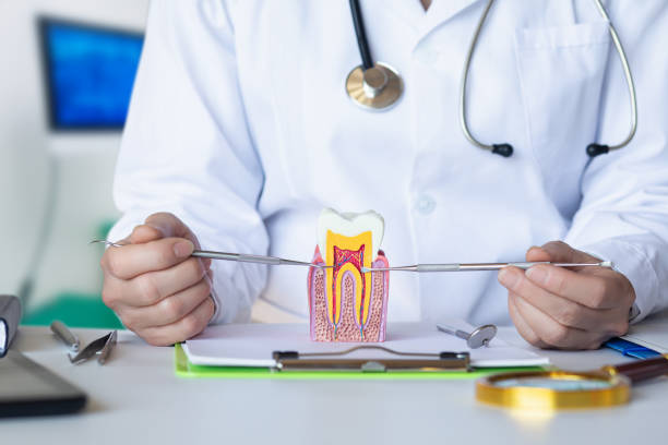 Best Walk-In Emergency Dentist in Cumberland Head, NY